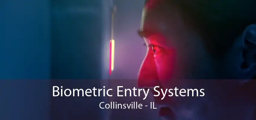 Biometric Entry Systems Collinsville - IL