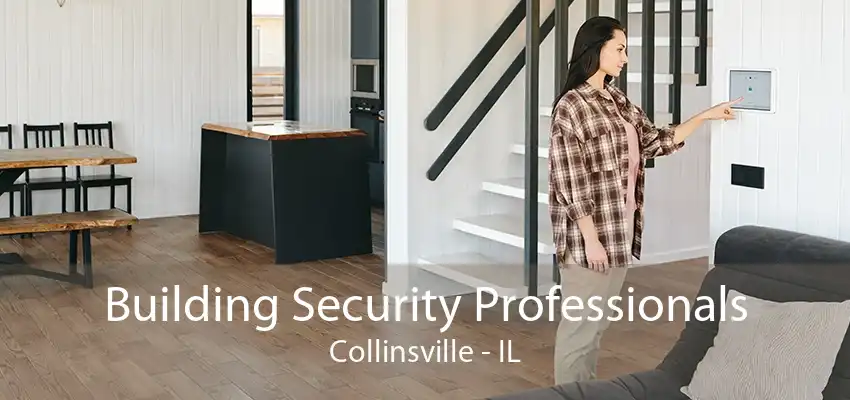 Building Security Professionals Collinsville - IL